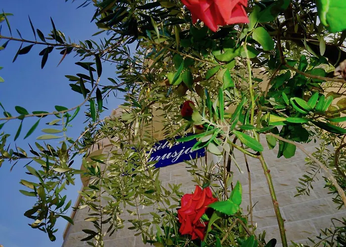 Vikendica Marisa Seget Vranjica